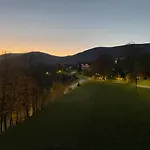 Kamilkowy *