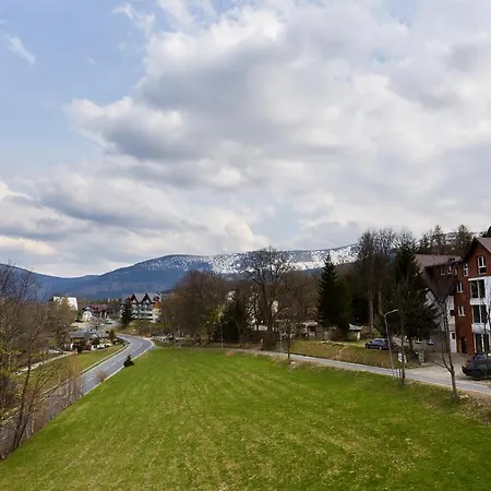 Kamilkowy *
